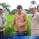 H-9 PENAS XVII, Lokasi Gelar Teknologi Pertanian Terus Dipersiapkan