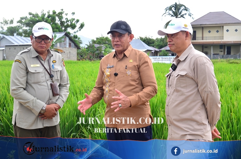 H-9 PENAS XVII, Lokasi Gelar Teknologi Pertanian Terus Dipersiapkan