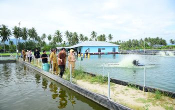 Vice Governor Idah Inspects Visit Locations for PENAS XVII Participants