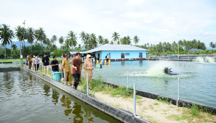 Wagub Idah Tinjau Tiga Lokasi Kunjungan Peserta PENAS XVII