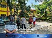 Sinergi Polisi, TNI, dan Warga Bersihkan Pohon Tumbang yang Tutupi Jalan Husin Bilondatu