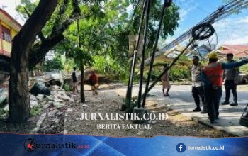 Aparat dan Warga Kembali Buka Akses Jalan Setelah Pohon Tumbang di Telaga