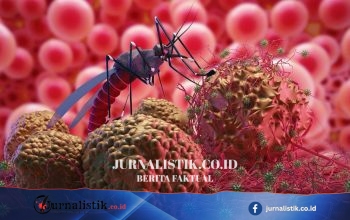 Diduga Malaria: 8 Warga Pohuwato Tertular, Satu Meninggal