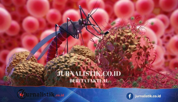 Diduga Malaria: 8 Warga Pohuwato Tertular, Satu Meninggal