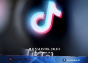 TikTok Paling Sering Diakses Warganet Indonesia, Ungguli Facebook