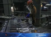 TINS Alokasikan Separuh Laba untuk Dividen, Cair Awal Juli
