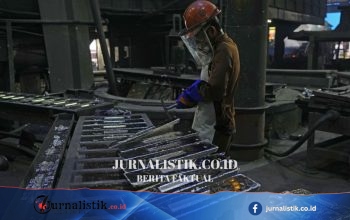 TINS Salurkan Separuh Laba untuk Dividen, Pembayaran Mulai Awal Juli
