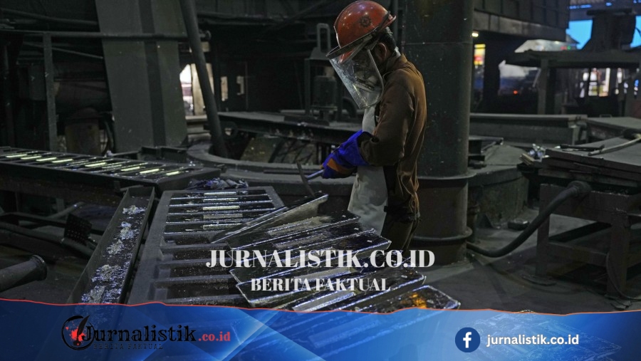 TINS Alokasikan Separuh Laba untuk Dividen, Cair Awal Juli