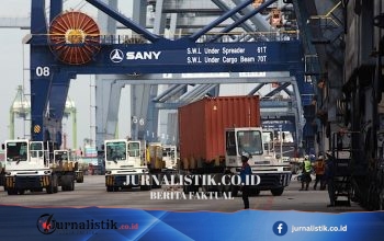 Ribuan Kontainer Numpuk di Priok, Bos BC Singgung BYD-Wuling