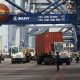 Ribuan Kontainer Menumpuk di Priok, Bos BC Singgung BYD-Wuling – Market