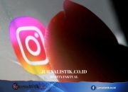 Instagram Error saat Demo Mahasiswa di Jakarta, Meta Buka Suara Tech 2 jam yang lalu