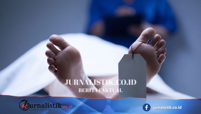 DVI Polda Papua Kirim 10 Sampel DNA ke Jakarta untuk Identifikasi Korban Ledakan Bom Biak Numfor