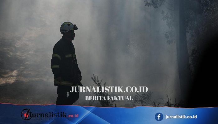 Kebakaran hutan di Gironde kembali berkobar, Prancis bersiap gelombang panas baru 40°C