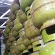 Terungkap: 5 Pelaku Pencurian 189 Tabung Elpiji di Banggai Ternyata dari Sopir hingga Buruh Distributor