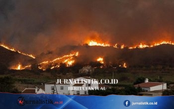Pasangan Inggris mengalami luka berat, ditemukan setengah sadar di jurang saat kebakaran hutan Spanyol di Almeria