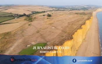 Badan Lingkungan: Kekeringan resmi melanda lebih dari setengah wilayah Inggris