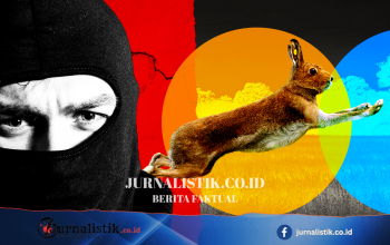 Geng perburuan kelinci liar ilegal: intimidasi, kekerasan, dan hewan mati dibuang