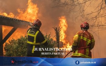 Lebih dari 250.000 Warga Dievakuasi saat Kebakaran Hutan Mengamuk di Prancis dan Spanyol