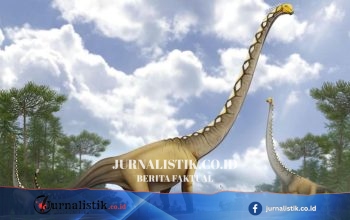 Uragasaurus kalasinensis: herbivor berleher sangat panjang dari Thailand berusia sekitar 150 juta tahun