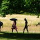 Cuaca Inggris: Suhu diprediksi tembus 30°C, gelombang panas berikutnya segera melanda