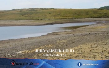 Kekeringan Ditetapkan untuk Seluruh Wales di Tengah Suhu Tinggi Berkelanjutan, Juli Terancam Paling Kering dalam 190 Tahun