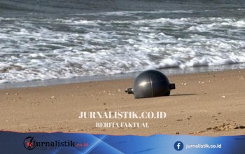 Australia Selidiki Enam Bola Misterius yang Terdampar di Forrest Beach, Queensland