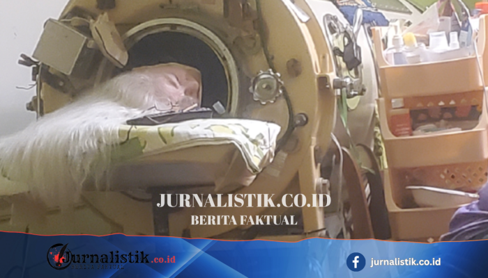 Iron lung dan tekad hidup Martha Lillard yang menjadi penderita polio terakhir di AS