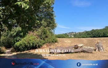 Dua Tersangka Ditangkap karena Dugaan Pembunuhan setelah Jenazah Ditemukan di Koper