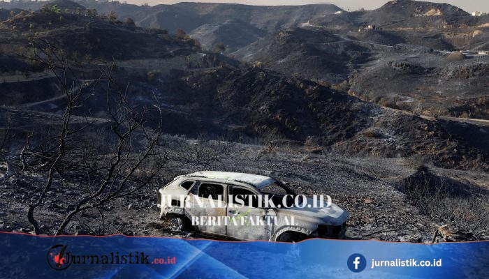 Spanyol Kewalahan Kebakaran Hutan Mematikan: 12 Tewas, 4 Warga Inggris Termasuk, 23 Hilang