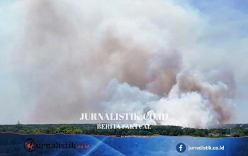 Dua Pemadam Kebakaran Prancis Tewas saat Memadamkan Api di Dekat Bandara Bordeaux