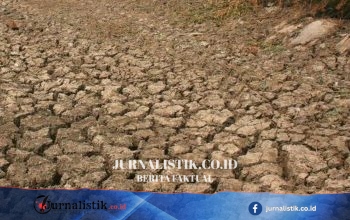 BNPB: Kekeringan Meluas dari Hambalang, Bogor hingga Yogyakarta, Ribuan Keluarga Terdampak