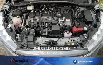Pertalite Lebih Murah, Tapi Apa Dampaknya ke Lingkungan?