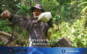 Prabowo Inginkan Atap Ijuk-Rumbai, Pakar UI: Kajian Diperlukan, Risiko Kebakaran Harus Diantisipasi