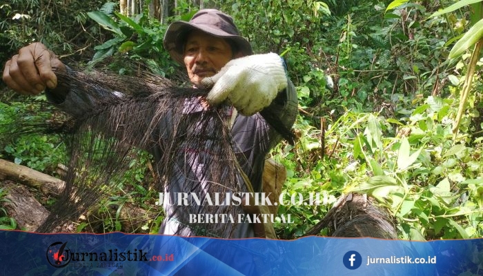 Prabowo Inginkan Atap Ijuk-Rumbai, Pakar UI: Kajian Diperlukan, Risiko Kebakaran Harus Diantisipasi