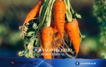 Enam Antioksidan Favorit untuk Rambut Sehat: Ada Vitamin C dan E