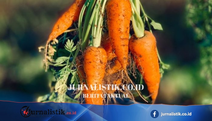 Enam Antioksidan Favorit untuk Rambut Sehat: Ada Vitamin C dan E