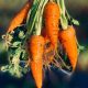 Enam Antioksidan Favorit untuk Rambut Sehat: Ada Vitamin C dan E
