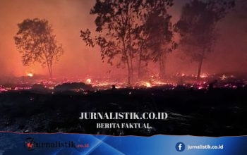 BNPB Ingatkan Kekeringan dan Karhutla, Pemda Diminta Petakan Wilayah Krisis Air Bersih