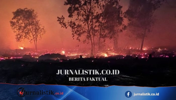 BNPB Ingatkan Kekeringan dan Karhutla, Pemda Diminta Petakan Wilayah Krisis Air Bersih