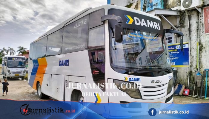 DAMRI Buka Rekrutmen 2026 untuk Posisi Staf Pengadaan, Ini Syaratnya
