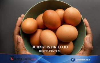 Konsumsi 5 Telur per Minggu Dikaitkan Mendukung Kesehatan Otak Lansia dan Menurunkan Risiko Alzheimer