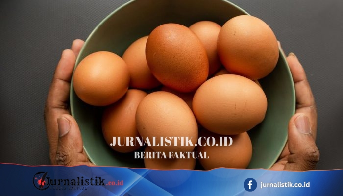 Konsumsi 5 Telur per Minggu Dikaitkan Mendukung Kesehatan Otak Lansia dan Menurunkan Risiko Alzheimer