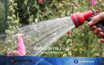 Larangan penggunaan selang siram untuk jutaan rumah tangga—apakah daerah Anda terdampak?