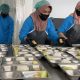 Sudaryono Tegaskan Larangan SPPG Pakai Minyakita, Elpiji 3 Kg, hingga Produk Subsidi Lain