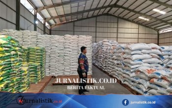 Serapan Gabah Bulog Madura Tembus 5.100 Ton, Target 2026 Terlampaui