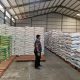 Serapan Gabah Bulog Madura Tembus 5.100 Ton, Target 2026 Terlampaui