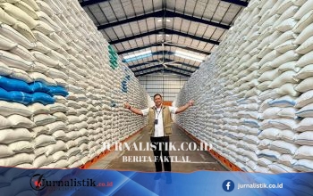 Realisasi Pengadaan Beras Bulog Tembus 87%: Serap 3,5 Juta Ton Hingga 24 Juli 2026