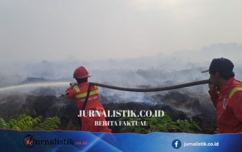 Karhutla di Muaro Jambi Semakin Luas, Lahan Terbakar Capai 8 Hektare