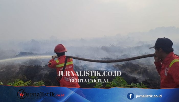 Karhutla di Muaro Jambi Semakin Luas, Lahan Terbakar Capai 8 Hektare
