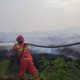 Karhutla di Muaro Jambi Semakin Luas, Lahan Terbakar Capai 8 Hektare